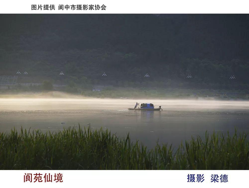 保险一次性交还是分期交划算游戏画面