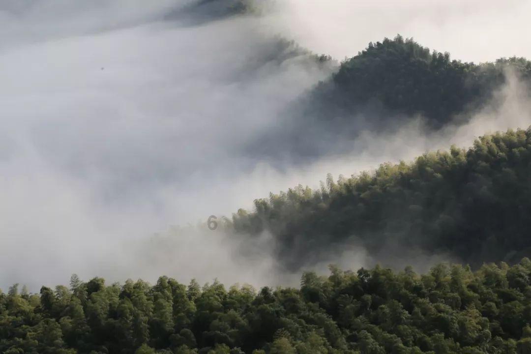 厉害了我的巧虎8