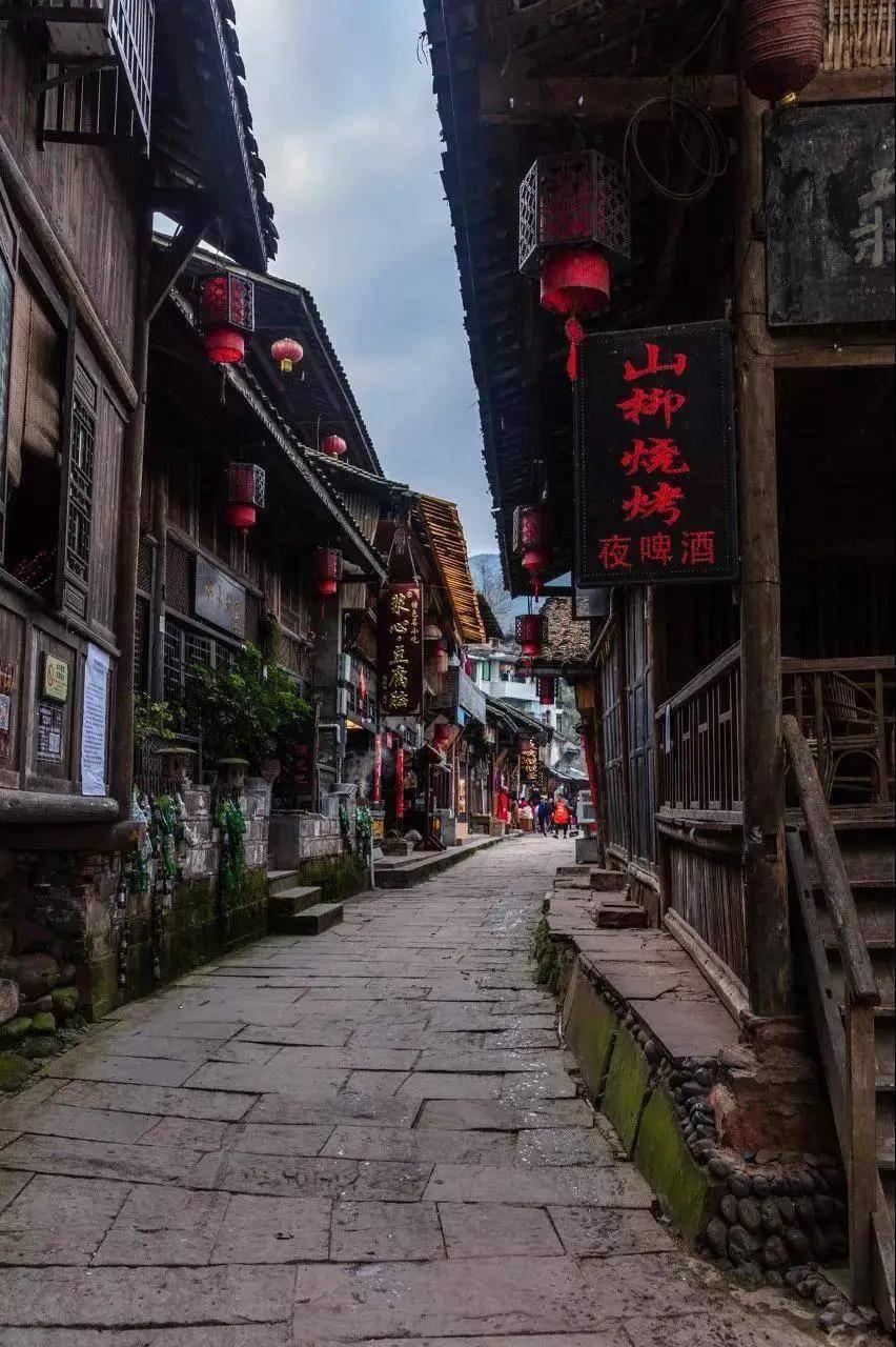 茂密丛林逃生